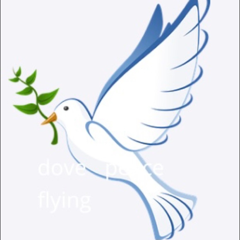 🌸🕊PEACE🕊🌸